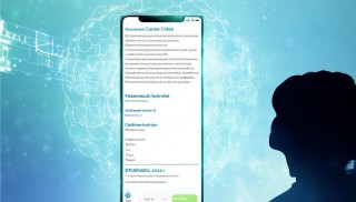 TPwallet錢包個人信息安全指南，如何保護您的數字資產與隱私