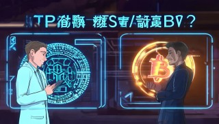 TP支持BSV嗎